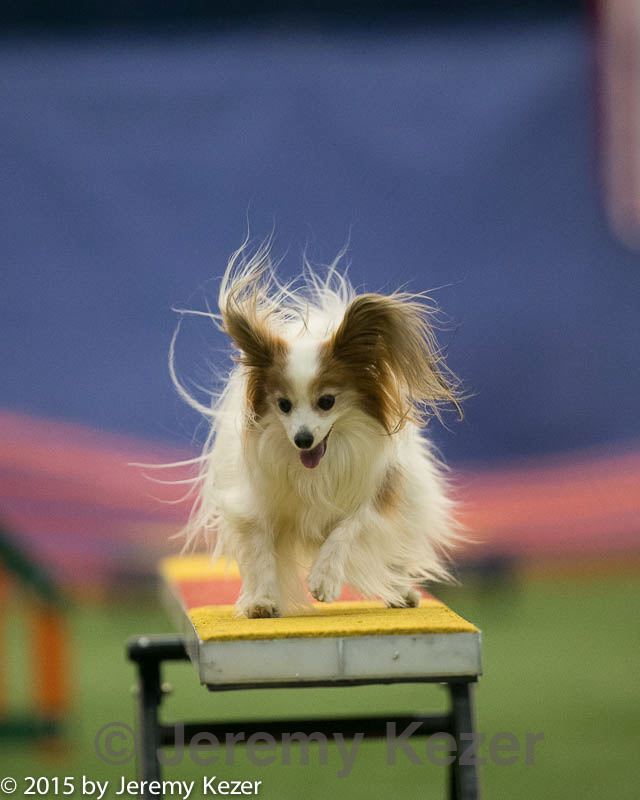 20150321-leap-1763.jpg