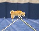 20150321-leap-1484