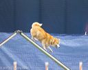 20150321-leap-1485