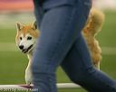 20150321-leap-1491