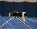 20150321-leap-1497