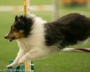 20150321-leap-1506