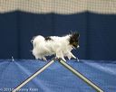 20150321-leap-1508