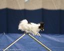 20150321-leap-1509