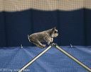 20150321-leap-1517