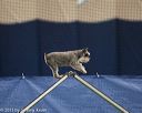 20150321-leap-1518