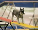 20150321-leap-1522