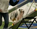 20150321-leap-1530