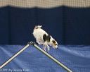 20150321-leap-1536