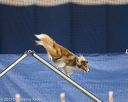 20150321-leap-1544