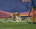20150321-leap-1546