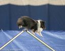 20150321-leap-1661