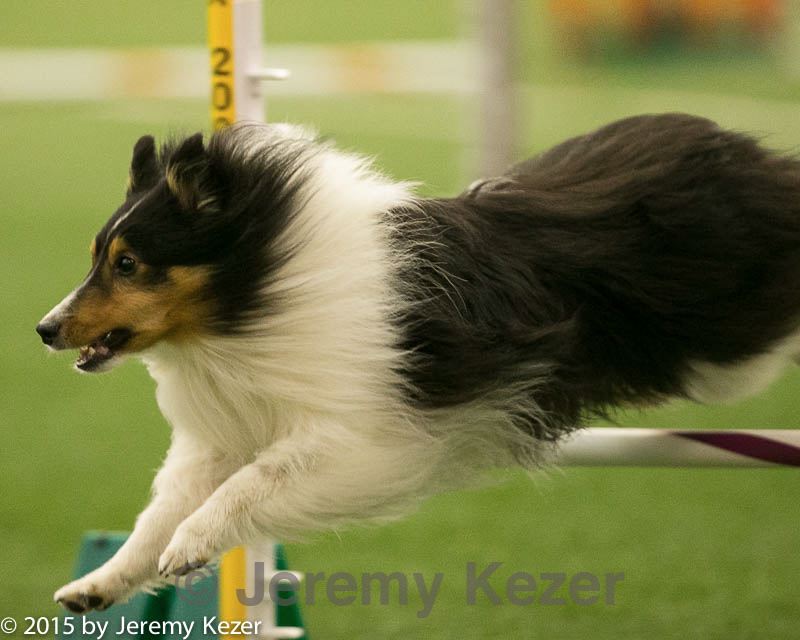 20150321-leap-1506.jpg