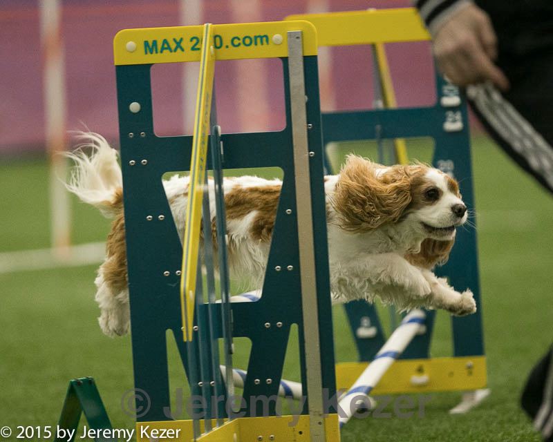 20150321-leap-1598.jpg