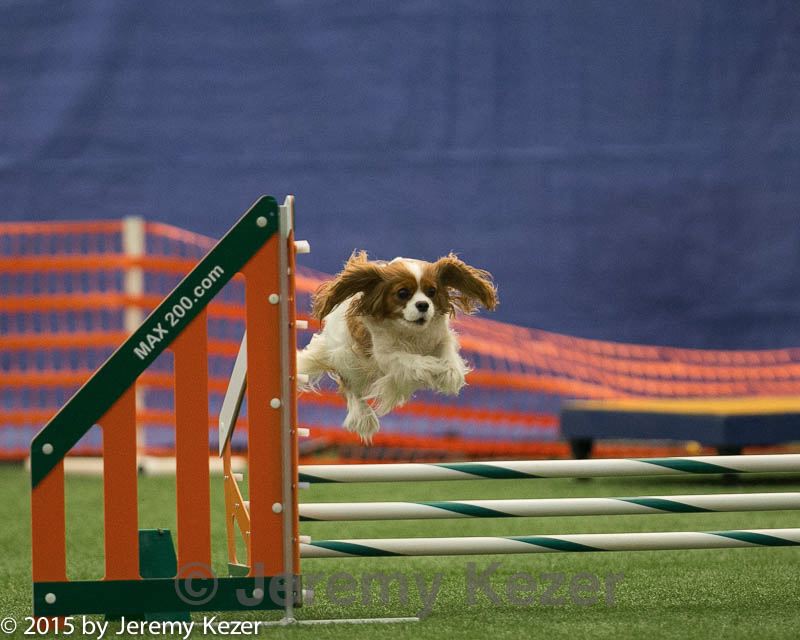 20150321-leap-1636.jpg