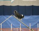20150321-leap-1296