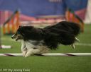 20150321-leap-1301