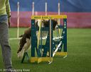 20150321-leap-1313
