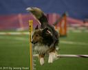20150321-leap-1323