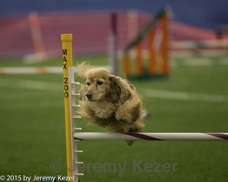 20150321-leap-1282.jpg