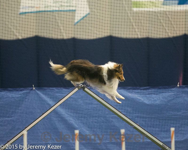 20150321-leap-1396.jpg