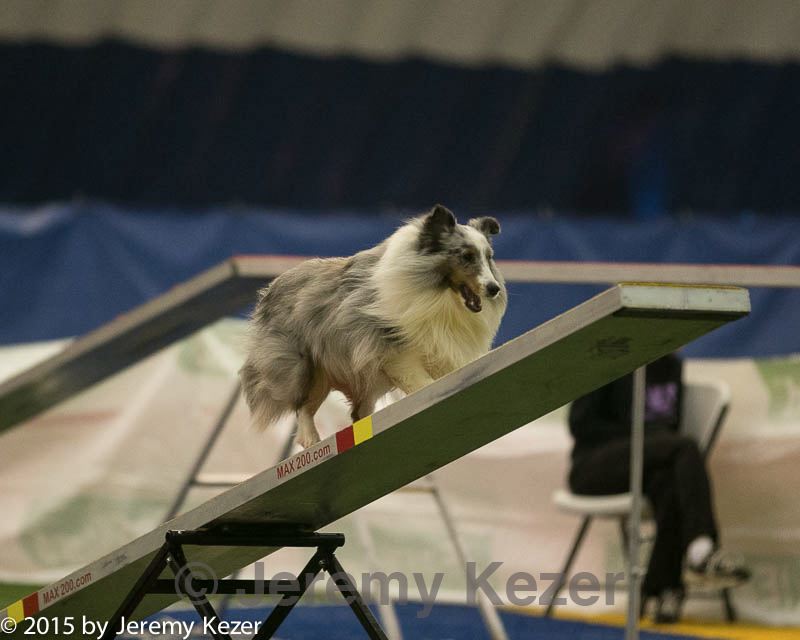 20150321-leap-1406.jpg