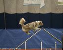 20150321-leap-0773