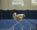 20150321-leap-0774