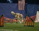 20150321-leap-0776