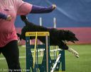 20150321-leap-0782