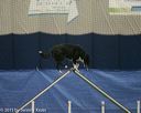 20150321-leap-0784