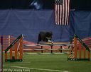 20150321-leap-0785