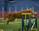 20150321-leap-0790