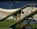 20150321-leap-0805