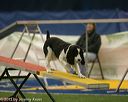 20150321-leap-0807