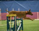 20150321-leap-0811