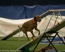 20150321-leap-0820