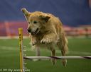 20150321-leap-0827