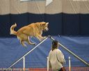 20150321-leap-0829