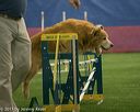 20150321-leap-0838