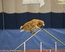 20150321-leap-0841