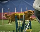 20150321-leap-0853