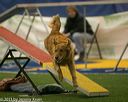 20150321-leap-0859