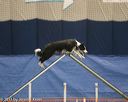 20150321-leap-0862