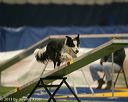 20150321-leap-0867