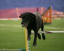 20150321-leap-0896