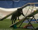 20150321-leap-0902