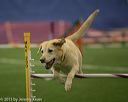 20150321-leap-0917