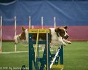 20150321-leap-0926