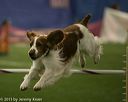 20150321-leap-0935